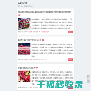网站截图